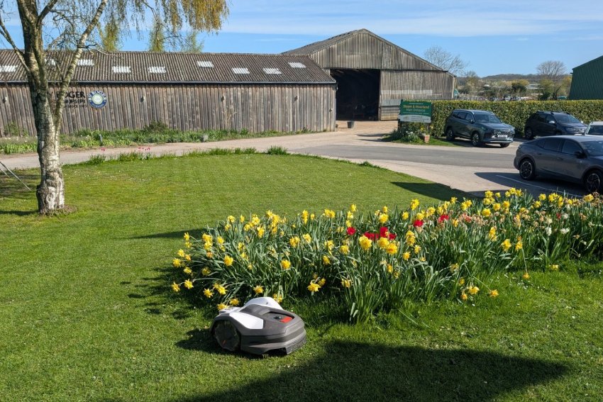 Husqvarna Automower 405VE NERA robotic lawn mower with EPOS plug-in mowing a lawn beside spring flowers at Steam & Moorland Garden Centre, North Yorkshire authorised dealer
