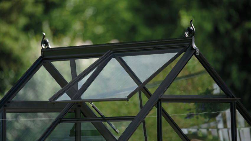 Close-up of a Halls ICON 6 6x4 Greenhouse, with black roof cresting, horticultural glass and a powder-coated black aluminium frame.