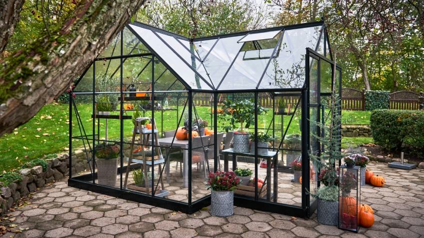 Halls ICON 8 8x12 Gardenhouse black frame with 3mm toughened glass revealing the extensive interior planting space