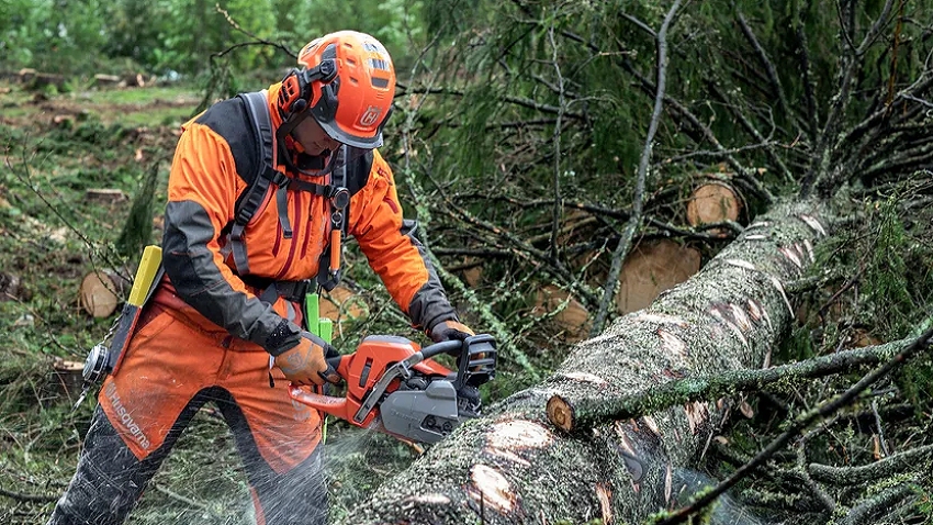 Man wearing full protective gear, cutting through a felled tree with the Husqvarna 550XP Mark II 50cc Chainsaw 967690815