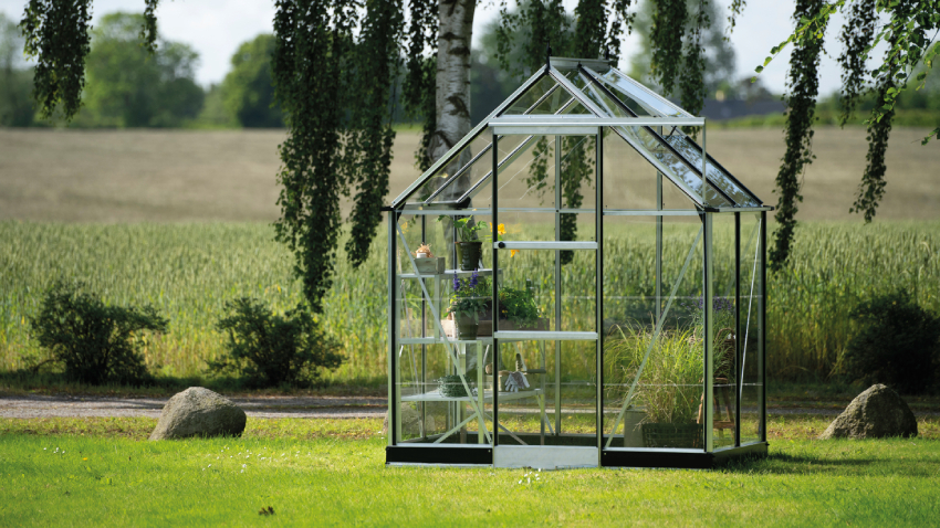 Wide-angled image of the Halls ICON 6 6x4 greenhouse with toughened glass