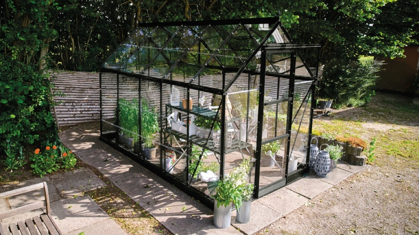 Wide-angled image of the Halls ICON 6 6x10 Greenhouse, with horticultural glass and a powder-coated black aluminium frame.