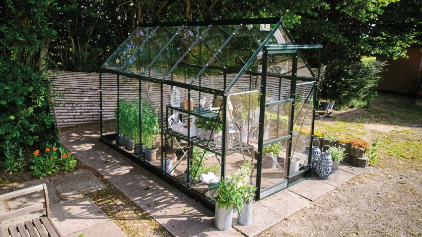 Wide-angled image of the Halls ICON 6 6x10 Greenhouse, with toughened glass and a powder-coated green aluminium frame.