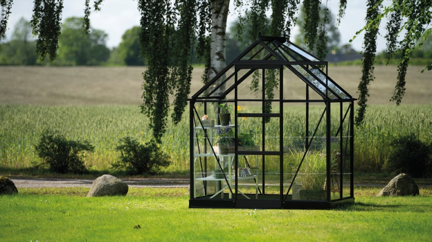 Wide-angled image of the Halls ICON 6 6x4 Greenhouse, with horticultural glass and a powder-coated black aluminium frame.