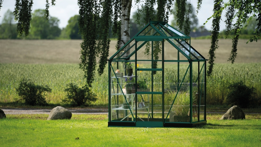 Wide-angled image of the Halls ICON 6 6x4 Greenhouse, with toughened glass and a powder-coated green aluminium frame.