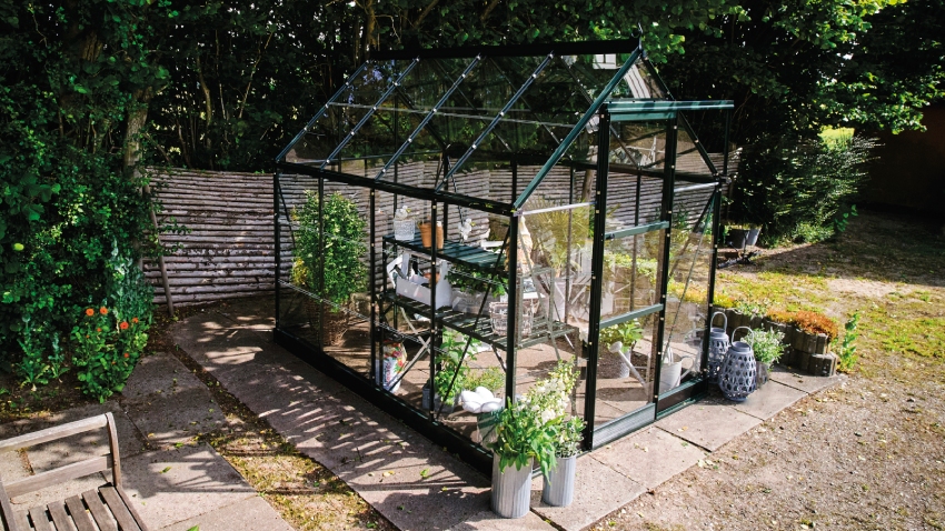 Wide-angled image of the Halls ICON 6 6x8 Greenhouse, with horticultural glass and a powder-coated green aluminium frame.