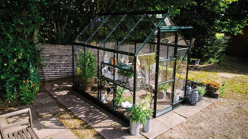 Wide-angled image of the Halls ICON 6 6x8 Greenhouse, with toughened glass and a powder-coated green aluminium frame.
