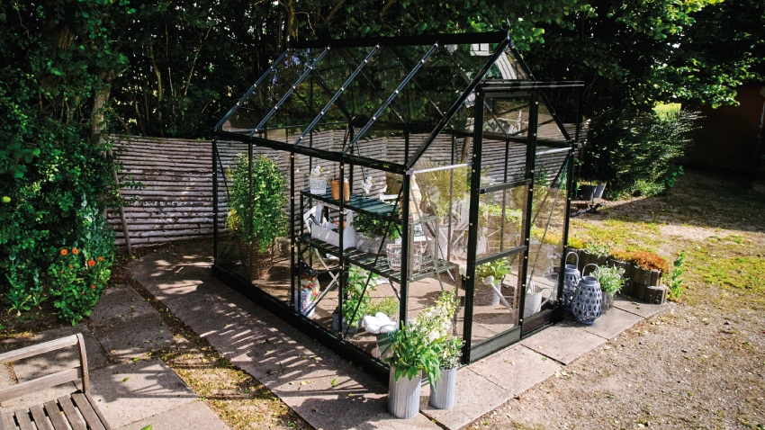 Wide-angled image of the Halls ICON 6 6x8 Greenhouse, with toughened glass and a powder-coated black aluminium frame.