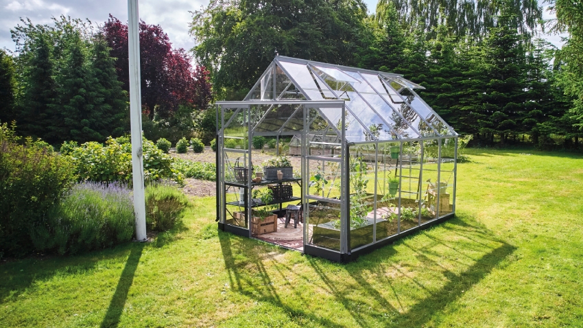 Wide-angled image of the Halls ICON 8 8x10 Greenhouse, with horticultural glass and a natural mill aluminium frame.