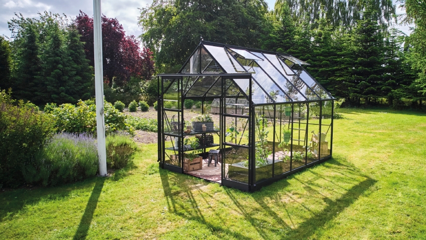 Wide-angled image of the Halls ICON 8 8x10 Greenhouse, with toughened glass and a powder-coated black aluminium frame.