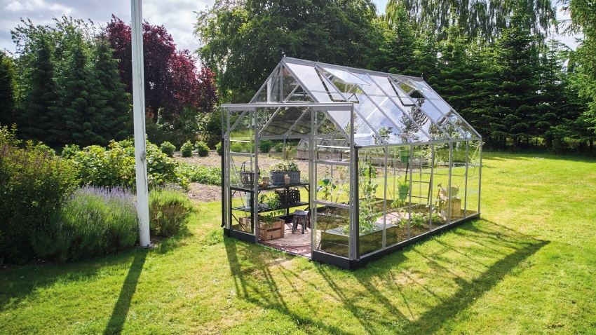 Wide-angled image of the Halls ICON 8 8x12 Greenhouse, with horticultural glass and a natural mill aluminium frame.