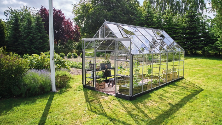 Wide-angled image of the Halls ICON 8 8x14 Greenhouse, with horticultural glass and a natural mill aluminium frame.