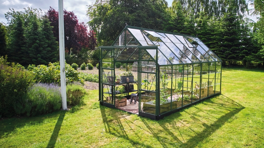 Wide-angled image of the Halls ICON 8 8x14 Greenhouse, with horticultural glass and a powder-coated green aluminium frame.