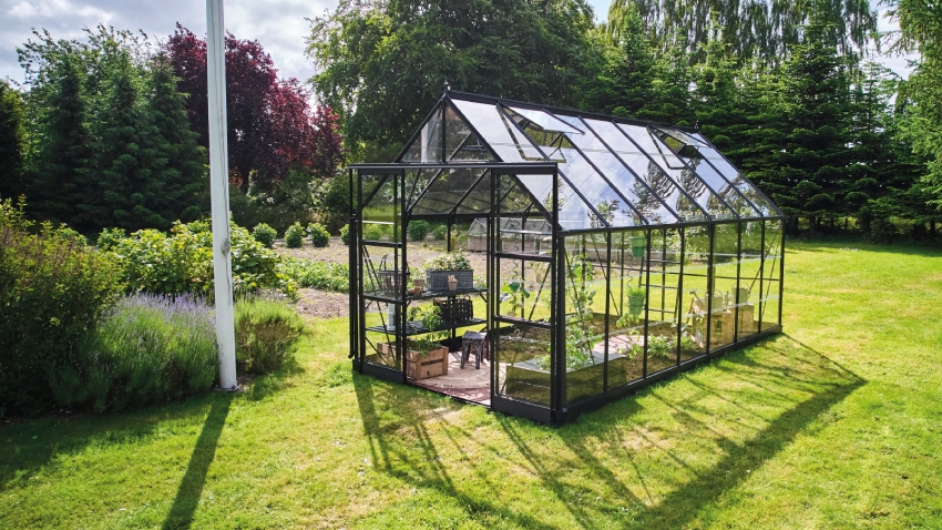 Wide-angled image of the Halls ICON 8 8x14 Greenhouse, with horticultural glass and a powder-coated black aluminium frame.
