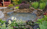 Remove algae and pond weed from water features