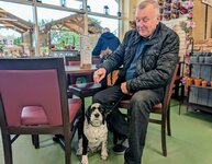 Dogs at Steam & Moorland downstairs Coffee Lounge