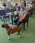 Nell in "Bouncy Mode" - lovely to meet Nell - Sept 2026