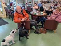 Dogs at Steam & Moorland downstairs Coffee Lounge