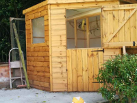 This man converted his shed into an Aviary for his Cockatiels