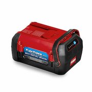 68810 Toro 60V 10.0 Ah Battery