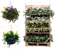 Artificial Plants and Flowers