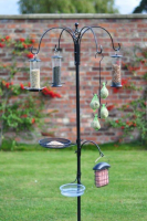 Birdcare