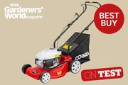 Cobra M41C 131cc 41cm Petrol Hand-Propelled Lawnmower - image 2