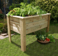 Grow Your Own