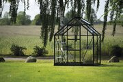Halls ICON 6 6×4 Greenhouse Horticultural Glass - Black HR01008 - image 3