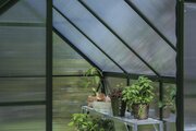 Halls ICON 6 6x10 Greenhouse 4mm Polycarbonate Glass - Green HR01136 - image 2
