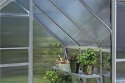 Halls ICON 6 6x10 Greenhouse 4mm Polycarbonate - Mill HR01130 - image 3