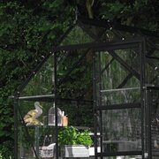 Halls Icon 6 6x10 black greenhouse with sliding door open, showing easy access and spacious interior