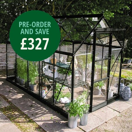 Halls Icon 6 6x8 greenhouse in black with toughened glass, shown as a freestanding garden greenhouse. Pre-order and save £327.