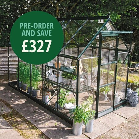 Halls Icon 6 6x10 greenhouse in green with toughened glass, shown as a freestanding garden greenhouse. Pre-order and save £327.