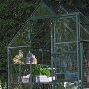 Halls Icon 6 6x8 black greenhouse with sliding door open, showing easy access and spacious interior