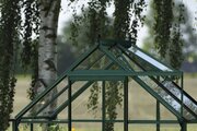 Halls ICON 6 6x4 Greenhouse 3mm Horticultural - Green HR01011 - image 2