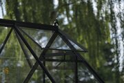 Halls ICON 6 6x6 Greenhouse 3mm Horticultural Glass - Black HR01049 - image 3