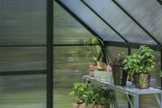 Halls ICON 6 6x6 Greenhouse 4mm Polycarbonate - Green HR01054 - image 2