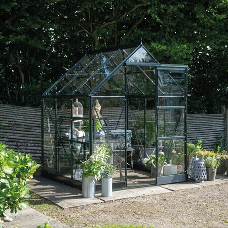 Green Halls Icon 6 6x6 greenhouse with toughened glass, installed on a paved area with potted plants around the entrance. Pre-order and save £287.