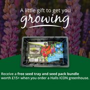Free seed pack and tray bundle when you order a Halls Icon greenhouse