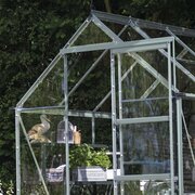 Close-up of the Halls ICON 6 6x6 toughened glass greenhouse with a natural mill-finish aluminium frame. Door slid open to show integrated staging.