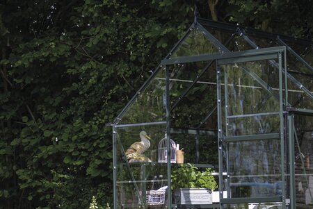 Halls icon 6 6x8 3mm horticultural glass Front shot