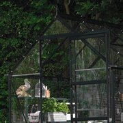 Halls Icon 6 6x8 black greenhouse with sliding door open, showing easy access and spacious interior