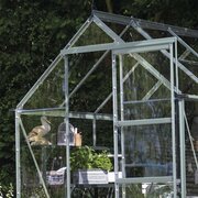 Close-up of the Halls ICON 6 6x8 toughened glass greenhouse with a natural mill-finish aluminium frame. Door slid open to show integrated staging.