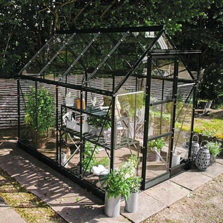 Halls Icon 6 6x8 greenhouse in black with toughened glass, shown as a freestanding garden greenhouse. Pre-order and save £307.