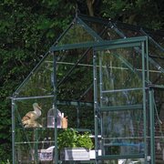 Halls Icon 6 6x8 greenhouse with green powder-coated finish and sliding door open, showing easy access and spacious interior