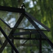 Halls Icon 6 6x8 greenhouse in black with roof vent open, showing toughened glass panels and ventilated roof design