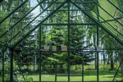 Halls ICON 8 8x10 Gardenhouse 3mm horti glass in green inside