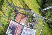 Halls ICON 8 8x10 Greenhouse 3mm horticultural glass - Birdseye view