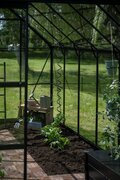 Halls ICON 8 8x12 Greenhouse Toughened Glass Black - inside plant 